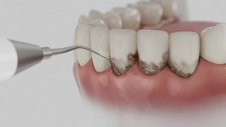 Reliable Dental contractor in Goshen, IN by Dentist Open Now